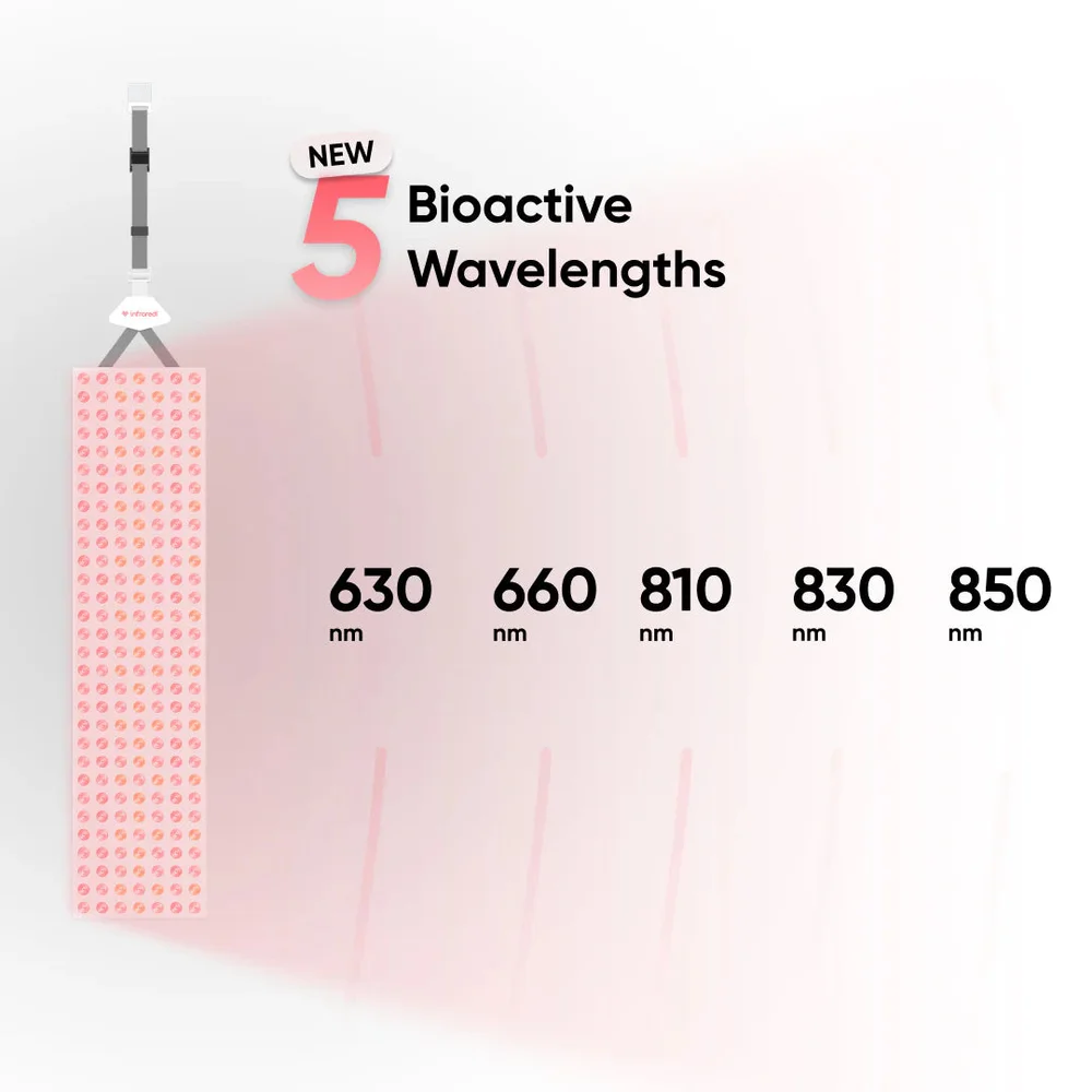 Infraredi Pro Max 2.0 5-wavelength clinical optical array showing 630, 660, 810, 830, and 850nm distribution